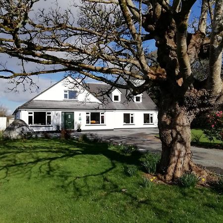 Mountain View Guesthouse Oughterard Kültér fotó